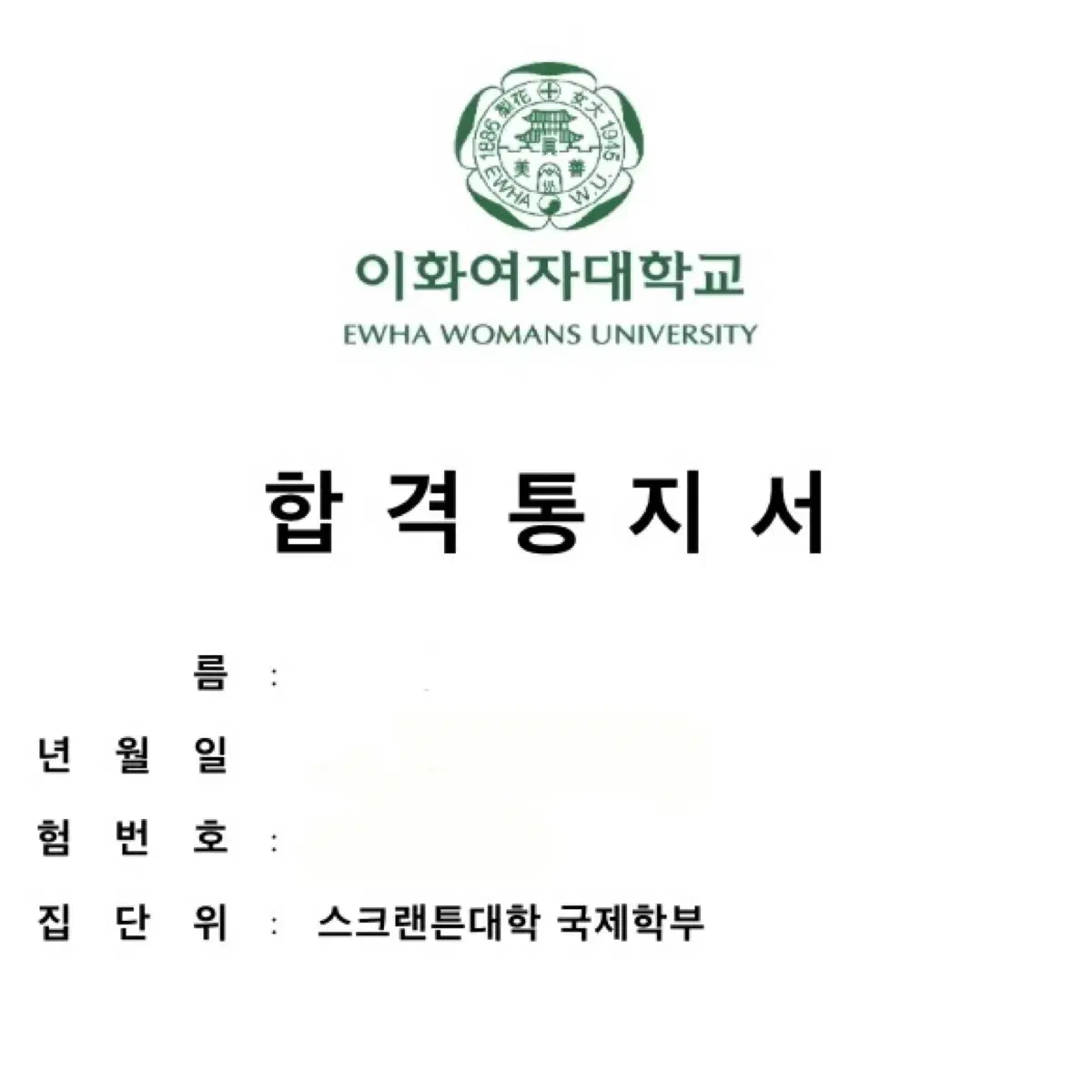 이화여대 국제학부 25학번 (유학생) 화상영어회화 과외